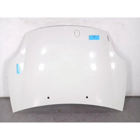 Capot para Fiat Bravo (198)