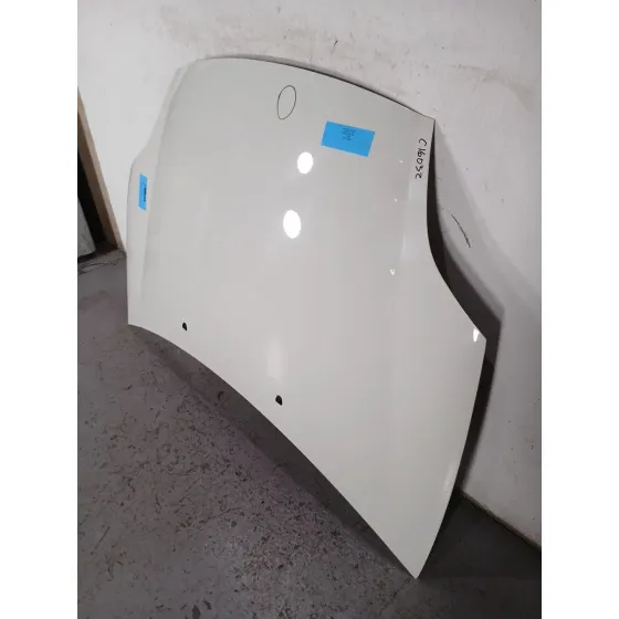 Capot para Fiat Bravo (198)