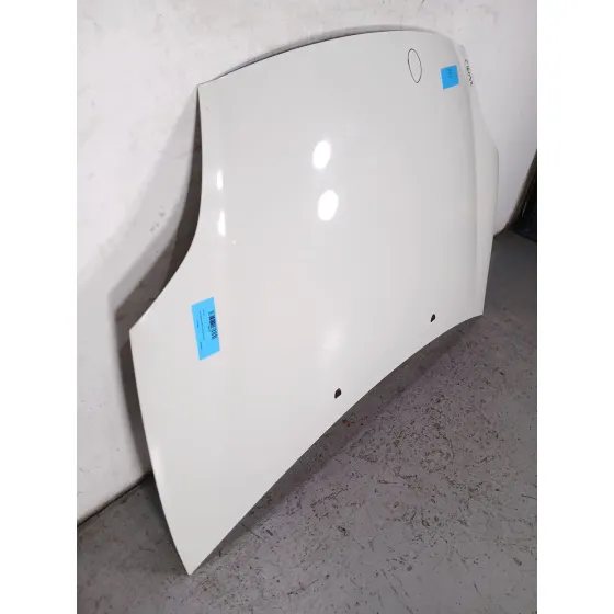 Capot para Fiat Bravo (198)