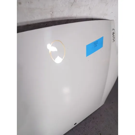 Capot para Fiat Bravo (198)