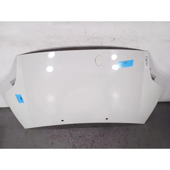Capot para Fiat Bravo (198)