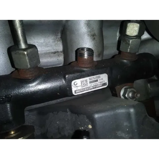 Rampa Inyectora para Peugeot 407