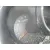 KIA PRO_CEE'D ( ) KIA PRO_CEE'D ( ) '2013 1.6 CRDI CAT BLANCO 2013