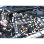 SEAT IBIZA (6L1) SEAT IBIZA (6L1) '2008 COOL GRANATE 2004