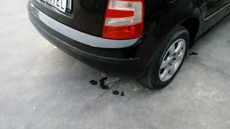 SKODA FABIA (6Y2/6Y3) '2007 CLASSIC NEGRO