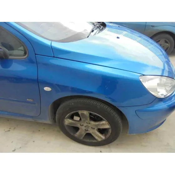 PEUGEOT 307 BREAK / SW (S1) '2004 SW PACK AZUL