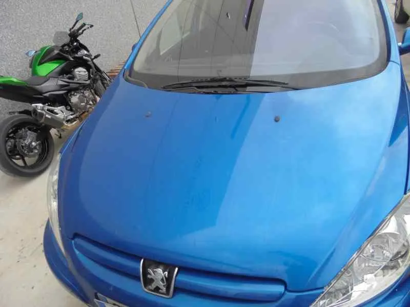 PEUGEOT 307 BREAK / SW (S1) '2004 SW PACK AZUL