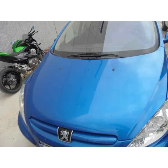 PEUGEOT 307 BREAK / SW (S1) '2004 SW PACK AZUL