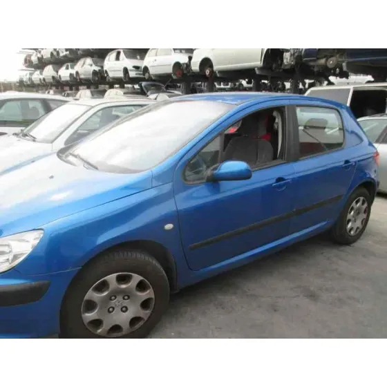 PEUGEOT 307 (S1) '2002 XN AZUL