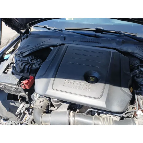 MOTOR 204DTA CVF/KW: 13.31/132