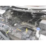 FORD FIESTA (CCN) FORD FIESTA (CCN) '2013 CHAMPIONS EDITION NEGRO 2013