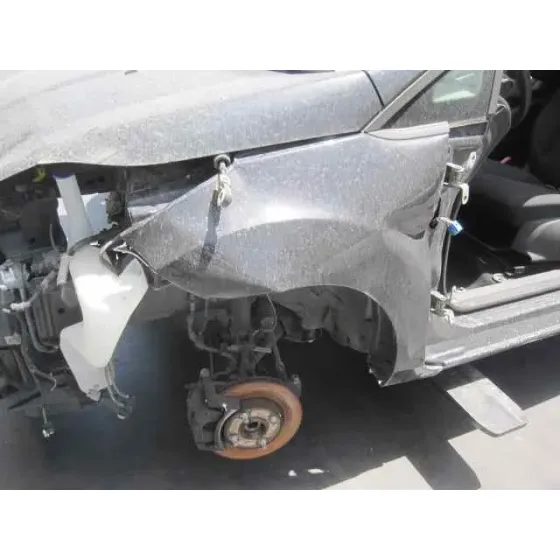 FORD FIESTA (CCN) '2013 CHAMPIONS EDITION NEGRO