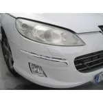 PEUGEOT 407 PEUGEOT 407 '2007 PREMIUM BLANCO 2007