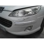 PEUGEOT 407 PEUGEOT 407 '2007 PREMIUM BLANCO 2007
