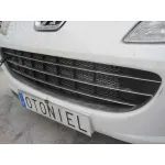 PEUGEOT 407 PEUGEOT 407 '2007 PREMIUM BLANCO 2007