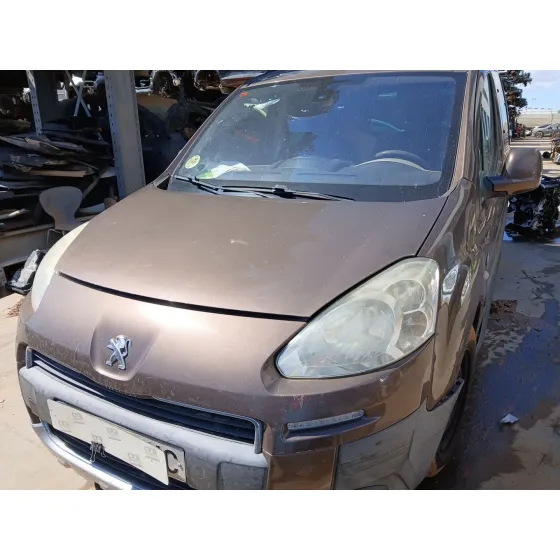 MOTOR 9H06