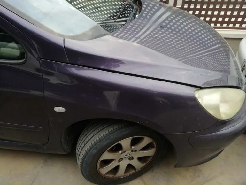 PEUGEOT 307 (S1) '2001 XS LILA