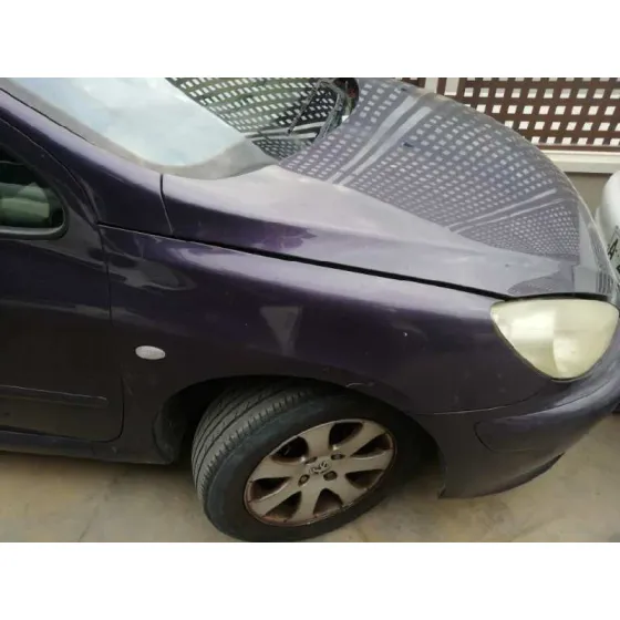 PEUGEOT 307 (S1) '2001 XS LILA