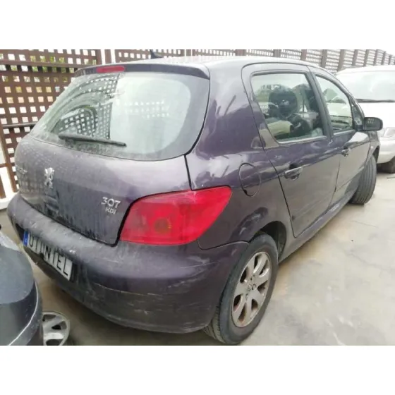 PEUGEOT 307 (S1) '2001 XS LILA