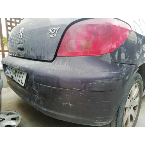 PEUGEOT 307 (S1) '2001 XS LILA