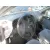 OPEL ASTRA G BERLINA '2001 COMFORT PLATA