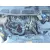 FORD FOCUS C-MAX (CAP) FORD FOCUS C-MAX (CAP) '2005 GHIA (D) PLATA 2003
