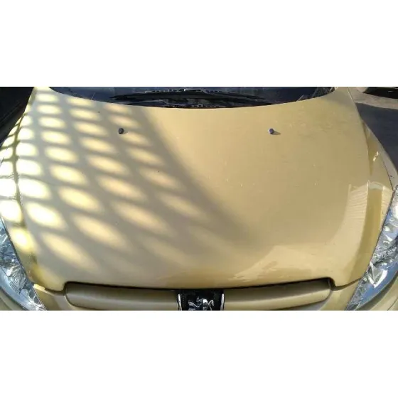 PEUGEOT 307 BREAK / SW (S1) '2004 SW DORADO