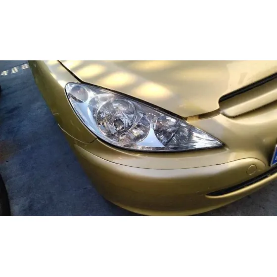 PEUGEOT 307 BREAK / SW (S1) '2004 SW DORADO