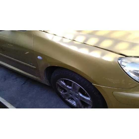 PEUGEOT 307 BREAK / SW (S1) '2004 SW DORADO