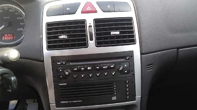 PEUGEOT 307 BREAK / SW (S1) '2004 SW DORADO