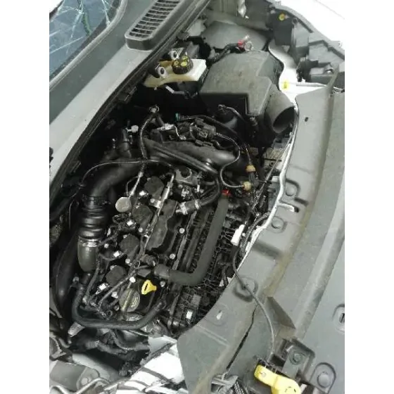 FORD KUGA (CBS) '2019 1.5 ECOBOOST CAT BLANCO