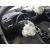 MOTOR G4LE HYBRID. AUTOMATICO CVF/KW: 11.56/77.2