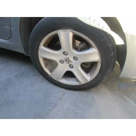 PEUGEOT 307 BREAK / SW (S1) '2003 SW PACK PLATA