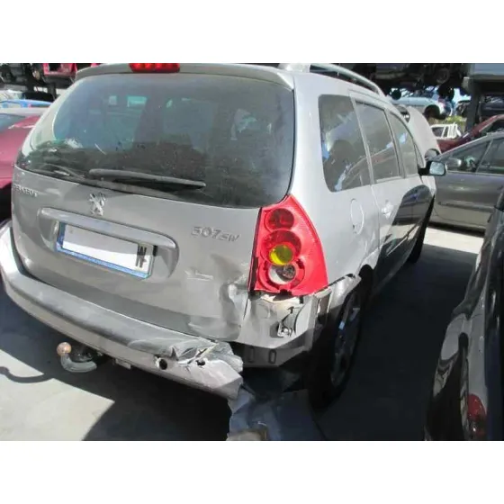 PEUGEOT 307 BREAK / SW (S1) '2003 SW PACK PLATA