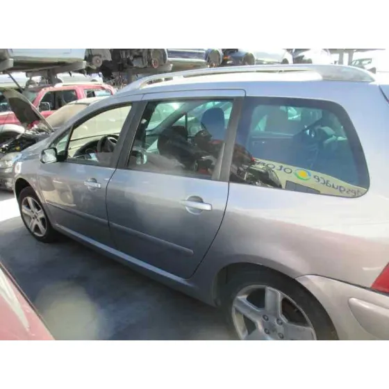 PEUGEOT 307 BREAK / SW (S1) '2003 SW PACK PLATA