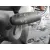 OPEL CORSA D OPEL CORSA D '2012 1.3 16V CDTI BLANCO 2006