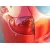 SEAT ALTEA (5P1) SEAT ALTEA (5P1) '2005 1.9 TDI ROJO 2004