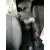 SUZUKI SWIFT BERLINA (MZ) '2006 GL (5-PTAS.) PLATA