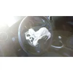 NISSAN QASHQAI (J10) NISSAN QASHQAI (J10) '2011 ACENTA PLATA 2010