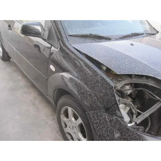 FORD FIESTA (CBK) '2005 AMBIENTE NEGRO