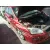 FORD FOCUS BERLINA (CAP) FORD FOCUS BERLINA (CAP) '2007 AMBIENTE (D) ROJO 2006