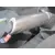 OPEL CORSA C OPEL CORSA C '2002 EDITION NEGRO 2000