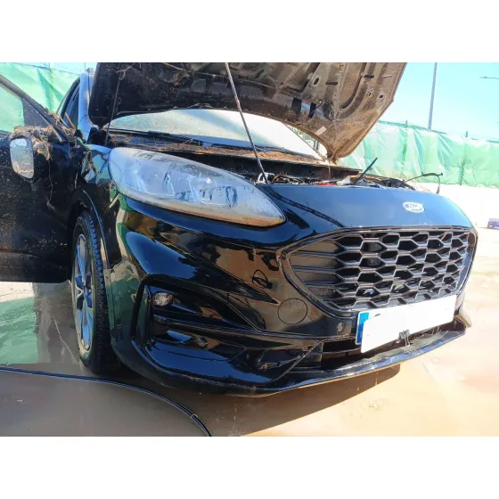 CVF/KW: 9.97/110.6 TIPO MOTOR: YZDA