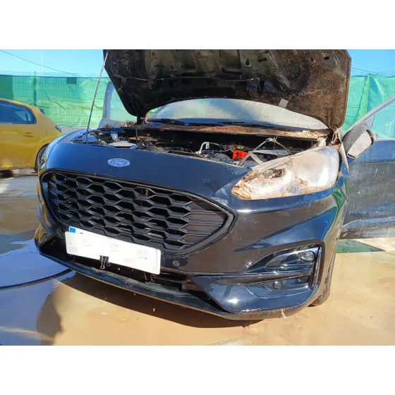 CVF/KW: 9.97/110.6 TIPO MOTOR: YZDA