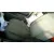 FORD FOCUS SPORTBREAK (CAP) FORD FOCUS SPORTBREAK (CAP) '2006 GHIA BLANCO 2006