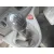 OPEL VIVARO OPEL VIVARO '2004 FURGON 2.9T CORTO BLANCO 2001