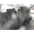 FORD FOCUS LIM. (CB8) FORD FOCUS LIM. (CB8) '2012 TREND GRIS 2010