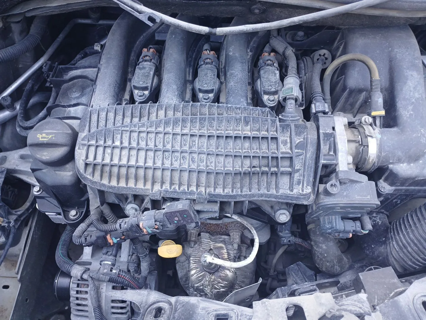MOTOR HM01 CVF/KW: 8.73/60