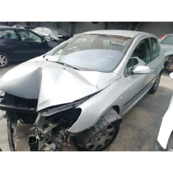 PEUGEOT 307 (S1) '2001 XR GRIS
