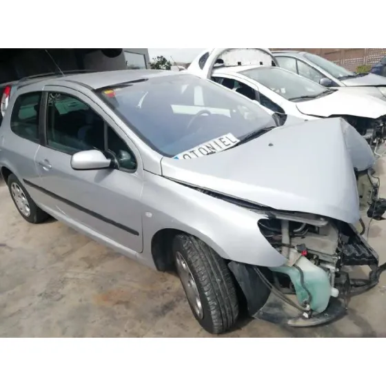 PEUGEOT 307 (S1) '2001 XR GRIS